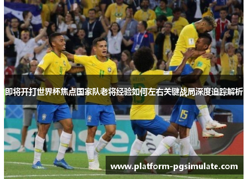 即将开打世界杯焦点国家队老将经验如何左右关键战局深度追踪解析 即将开打世界杯焦点国家队老将经验如何左右关键战局深度追踪解析