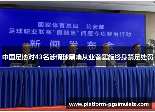 中国足协对43名涉假球黑哨从业者实施终身禁足处罚