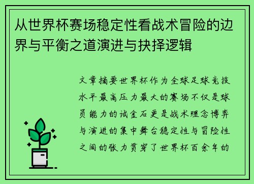 从世界杯赛场稳定性看战术冒险的边界与平衡之道演进与抉择逻辑